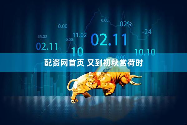 配资网首页 又到初秋赏荷时